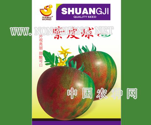 紫皮球
